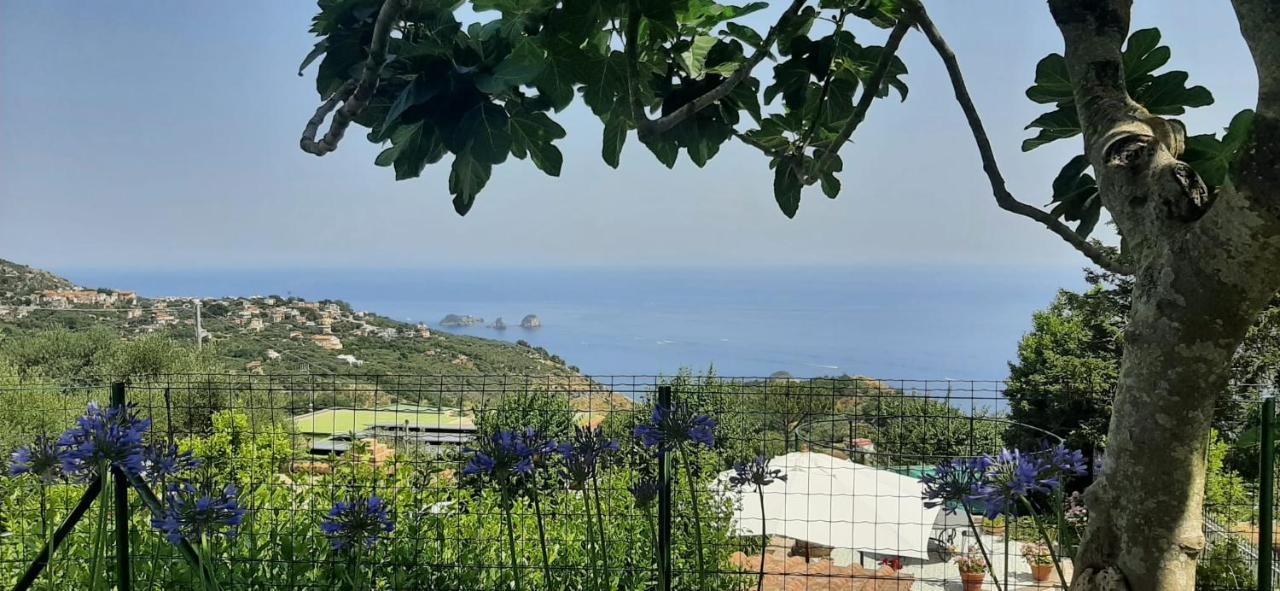 Villa Persico Massa Lubrense Exterior foto